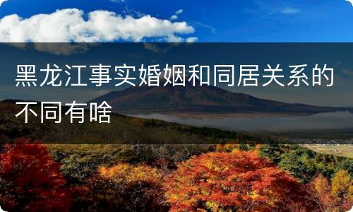 黑龙江事实婚姻和同居关系的不同有啥