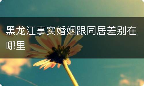 黑龙江事实婚姻跟同居差别在哪里