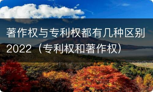 著作权与专利权都有几种区别2022（专利权和著作权）