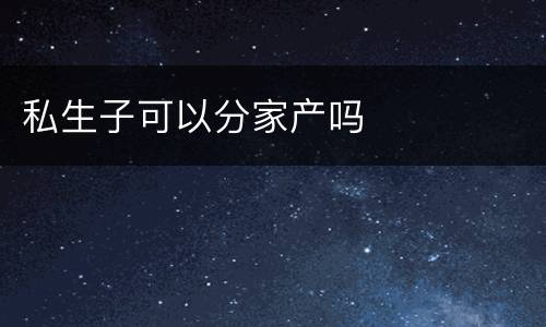 私生子可以分家产吗