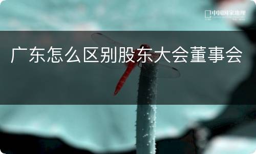 广东怎么区别股东大会董事会