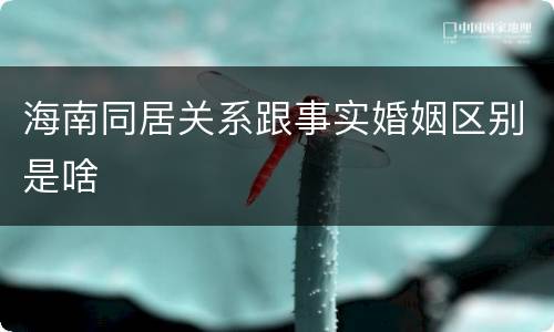 海南同居关系跟事实婚姻区别是啥
