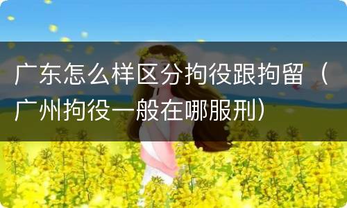 广东怎么样区分拘役跟拘留（广州拘役一般在哪服刑）