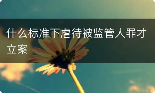 什么标准下虐待被监管人罪才立案