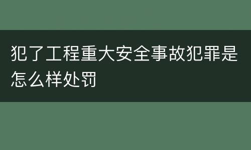 犯了工程重大安全事故犯罪是怎么样处罚