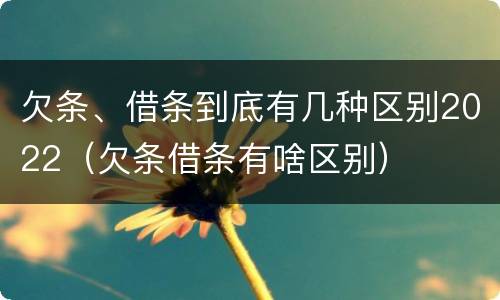欠条、借条到底有几种区别2022（欠条借条有啥区别）