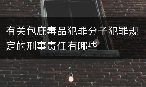 有关包庇毒品犯罪分子犯罪规定的刑事责任有哪些
