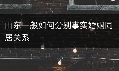 山东一般如何分别事实婚姻同居关系