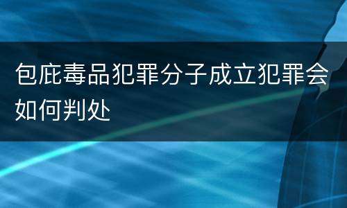包庇毒品犯罪分子成立犯罪会如何判处