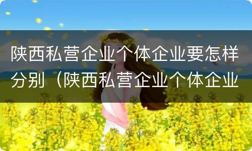 陕西私营企业个体企业要怎样分别（陕西私营企业个体企业要怎样分别注册）
