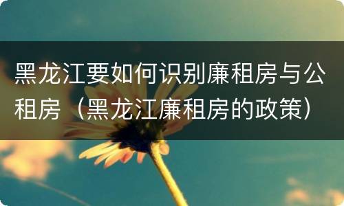 黑龙江要如何识别廉租房与公租房（黑龙江廉租房的政策）