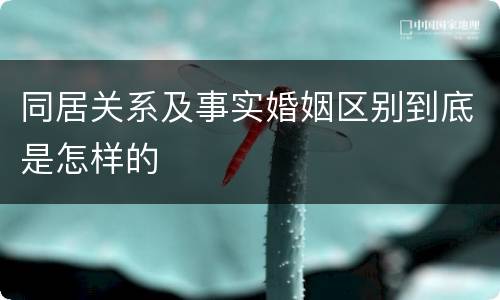 同居关系及事实婚姻区别到底是怎样的