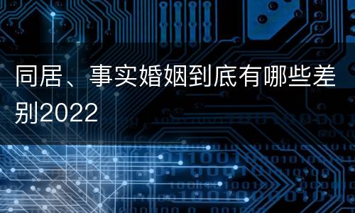 同居、事实婚姻到底有哪些差别2022