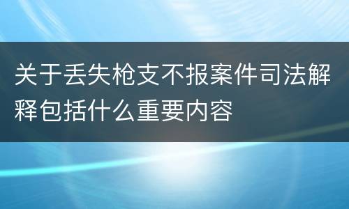 关于丢失枪支不报案件司法解释包括什么重要内容