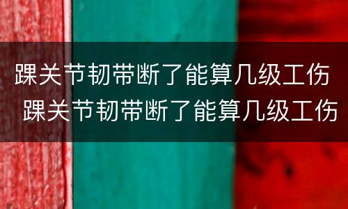踝关节韧带断了能算几级工伤 踝关节韧带断了能算几级工伤伤残