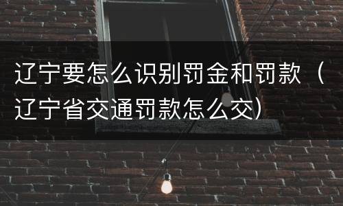 辽宁要怎么识别罚金和罚款（辽宁省交通罚款怎么交）