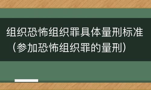 组织恐怖组织罪具体量刑标准（参加恐怖组织罪的量刑）