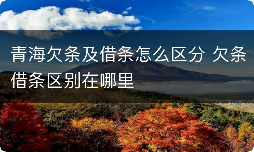 青海欠条及借条怎么区分 欠条借条区别在哪里