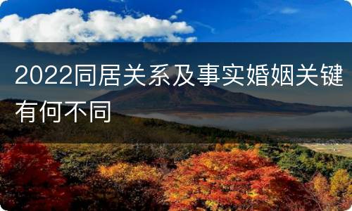 2022同居关系及事实婚姻关键有何不同
