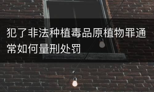 犯了非法种植毒品原植物罪通常如何量刑处罚