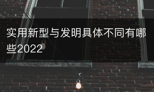 实用新型与发明具体不同有哪些2022