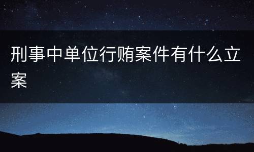 刑事中单位行贿案件有什么立案