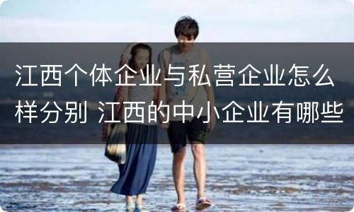 江西个体企业与私营企业怎么样分别 江西的中小企业有哪些