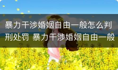 暴力干涉婚姻自由一般怎么判刑处罚 暴力干涉婚姻自由一般怎么判刑处罚