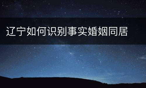 辽宁如何识别事实婚姻同居