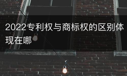 2022专利权与商标权的区别体现在哪