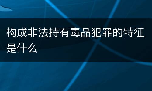 构成非法持有毒品犯罪的特征是什么