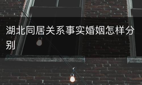 湖北同居关系事实婚姻怎样分别