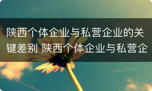 陕西个体企业与私营企业的关键差别 陕西个体企业与私营企业的关键差别在于