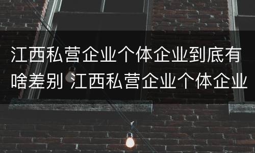 江西私营企业个体企业到底有啥差别 江西私营企业个体企业到底有啥差别呢