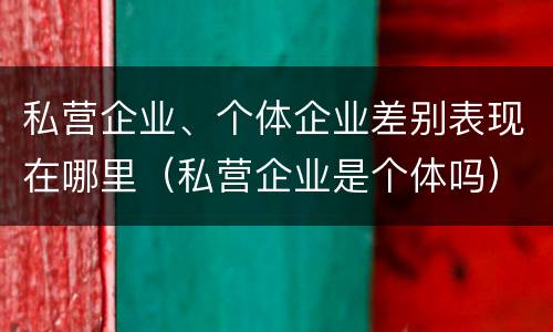 私营企业、个体企业差别表现在哪里（私营企业是个体吗）
