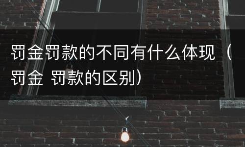 罚金罚款的不同有什么体现（罚金 罚款的区别）