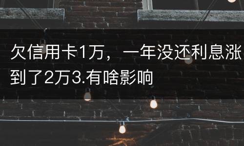 欠信用卡1万，一年没还利息涨到了2万3.有啥影响