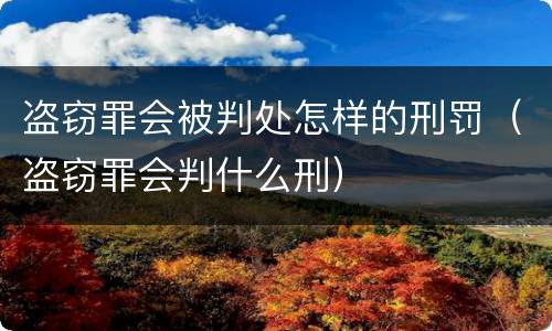 盗窃罪会被判处怎样的刑罚（盗窃罪会判什么刑）