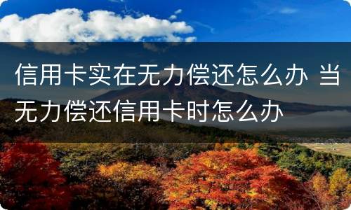 信用卡实在无力偿还怎么办 当无力偿还信用卡时怎么办