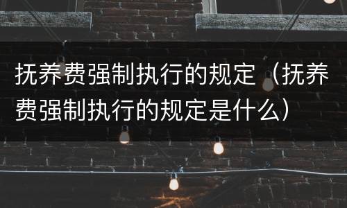 抚养费强制执行的规定（抚养费强制执行的规定是什么）