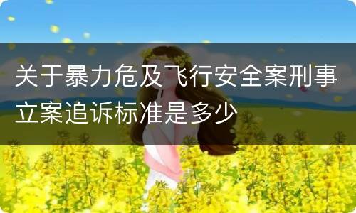 关于暴力危及飞行安全案刑事立案追诉标准是多少