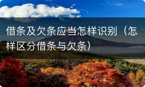 借条及欠条应当怎样识别（怎样区分借条与欠条）