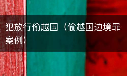 犯放行偷越国（偷越国边境罪案例）