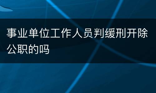 事业单位工作人员判缓刑开除公职的吗