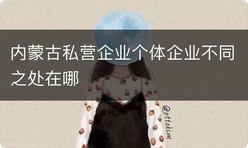 内蒙古私营企业个体企业不同之处在哪