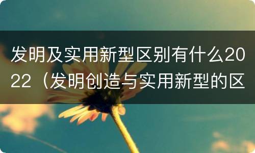 发明及实用新型区别有什么2022（发明创造与实用新型的区别）