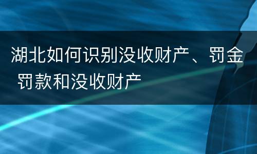 湖北如何识别没收财产、罚金 罚款和没收财产