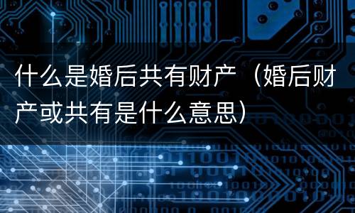 什么是婚后共有财产（婚后财产或共有是什么意思）