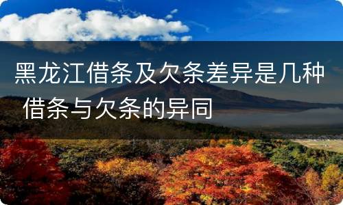 黑龙江借条及欠条差异是几种 借条与欠条的异同