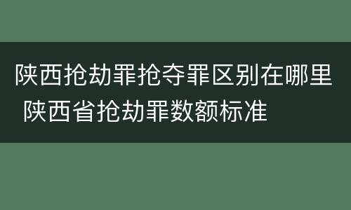 陕西抢劫罪抢夺罪区别在哪里 陕西省抢劫罪数额标准